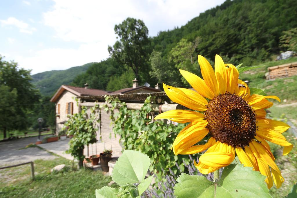 Agriturismo Ca Sonino Bettola  외부 사진